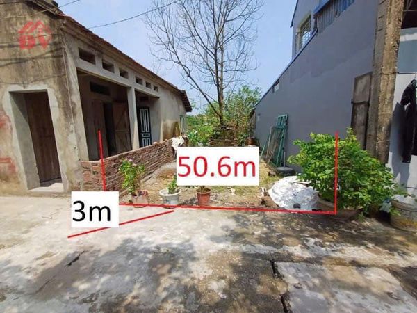 🏘️Siêu phẩm QUẢNG Bị  -hiếm  ít nhà bán <br>Dt 50,6m2 mt =hâu 4,6m sâu 11 m  thoáng trước thoáng - Ảnh 2